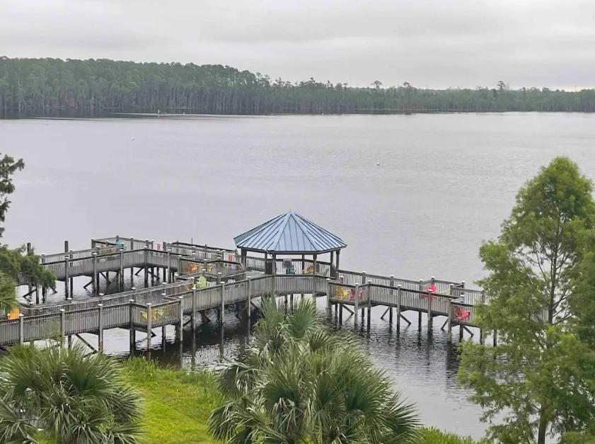 Big Pool, Stunning Lakeview, Sunrise, Disney #1907 Orlando Eksteriør bilde